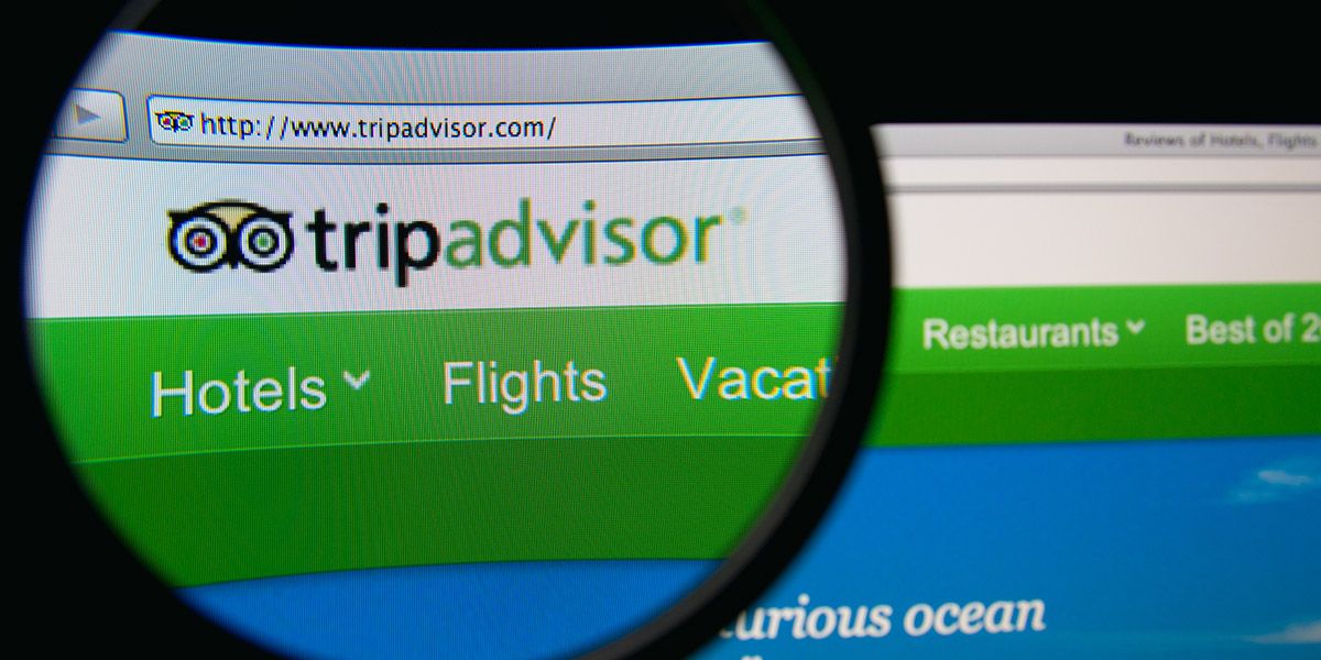 What is an Online Directory A Business Opportunity Insight for domains
